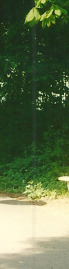 header links